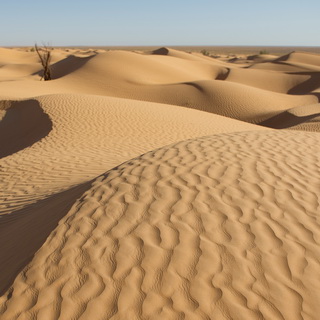 Sanddunes